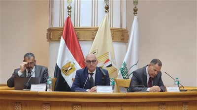«سيناء أرض الفيروز».. تاريخها الاستراتيجي والحضاري بندوة للمجلس الأعلى للثقافة