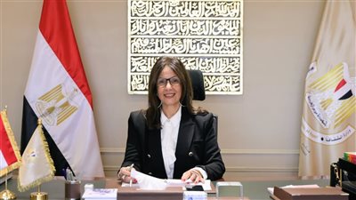 التحول الرقمي في وزارة الثقافة.. خطة شاملة لرقمنة الإصدارات وتحقيق «صفر مخازن»