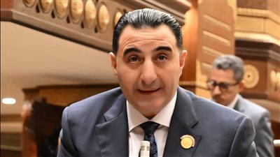 برلمانية المؤتمر بالشيوخ: رؤية الدولة لربط التعليم بسوق العمل تعزز التنمية 