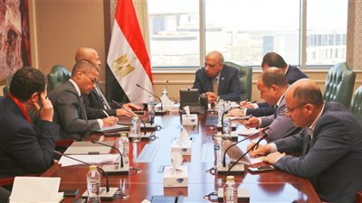 وزير الكهرباء يبحث مع «إنكوم» توفير الطاقة اللازمة لإقامة مركز عالمى للبيانات