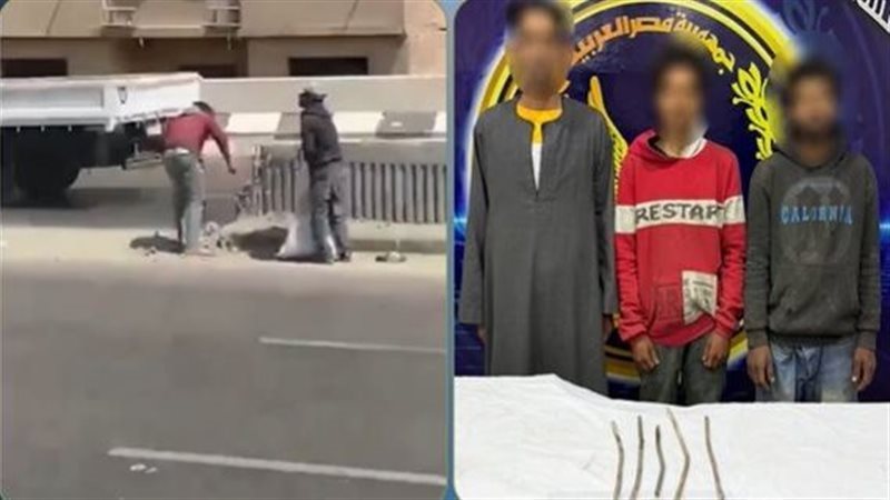 المتهمين 