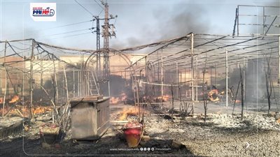 حريق داخل كافيه بسمالوط في المنيا دون إصابات بشرية (تفاصيل)
