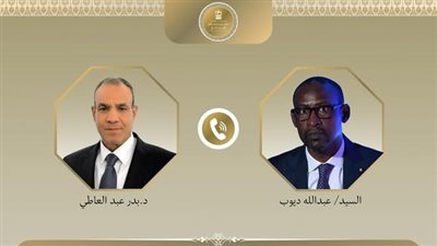 وزير الخارجية لنظيره المالي: لا تسامح مع الإرهاب.. ومصر تقف بجانب مالي