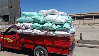 انتظام توريد القمح بالبحيرة.. 32800 طن إجمالي الكميات المستلمة حتى صباح اليوم