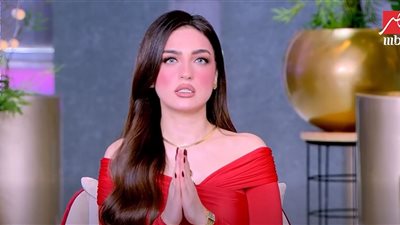 بعد واقعة قطع الكهرباء عن سفير بلجيكا.. ياسمين عز: كان هيعملنا أزمة دبلوماسية
