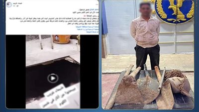 التحقيق مع متهم بالتنقيب عن الآثار بعد تسببه في تصدعات بعقار مجاور بالمنوفية