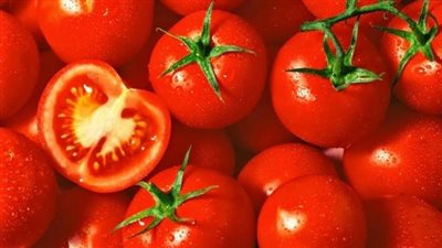حقيقة رش الطماطم بمواد تسبب الفشل الكلوي.. رد حاسم من وزارة الزراعة