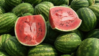 لماذا ظهر البطيخ مبكرا في الأسواق؟.. المتحدث باسم الزراعة يجيب