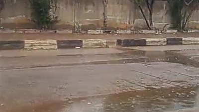 طقس غائم وأمطار خفيفة على المدن الساحلية بمحافظة البحيرة