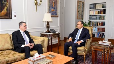 وزير الخارجية يؤكد دور البرلمان في تطوير منظومة حقوق الإنسان في مصر