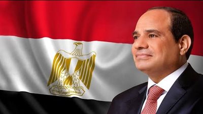 الرئيس السيسي: مصر فقدت 10 مليارات دولار من عائدات قناة السويس بسبب باب المندب
