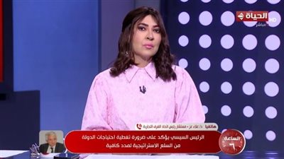 مستشار الغرف التجارية: توجيهات الرئيس السيسي رفعت مخزون السلع الاستراتيجية