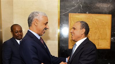 وزير الخارجية يثمن بالشراكة الاستراتيجية بين مصر وبنك التنمية الأفريقي 
