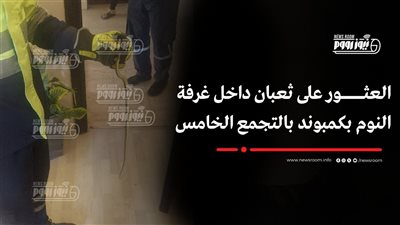 العثور على ثعبان داخل غرفة النوم بكمبوند بالتجمع الخامس