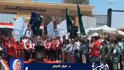 الهلال الأحمر يكشف: 187 قافلة مساعدات إلى غزة.. ومصر تقترب من مليون طن إغاثة