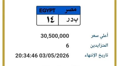 لوحة «بدر 14» بـ 30 مليون جنيه.. سخرية وانتقادات تشعل مواقع التواصل بسبب سعرها