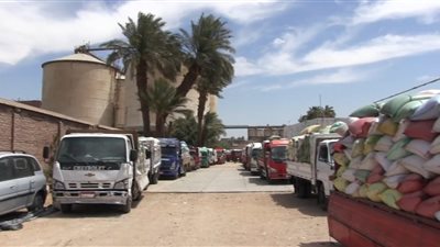 سوهاج تستقبل 72 ألف طن قمح منذ بدء موسم التوريد        