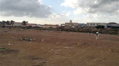 طقس غائم جزئيا ورياح شديدة علي بعض المناطق بمحاظة بالبحيرة