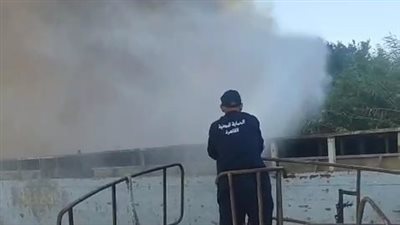 حريق يلتهم الهيش ومخلفات بجزيرة الدهب بمصر القديمة