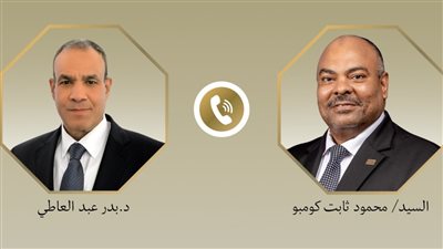 مصر وتنزانيا.. شراكة استراتيجية عابرة للحدود وتوافق حول سد نيريري 