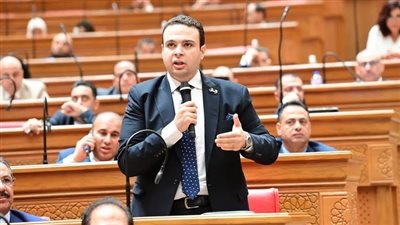 عبدالمنعم إمام: لجوء بعض الحالات للطلاق للحصول على المعاش يعكس خللا بالمنظومة