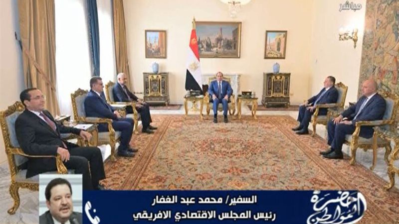 السفير محمد عبد الغفار