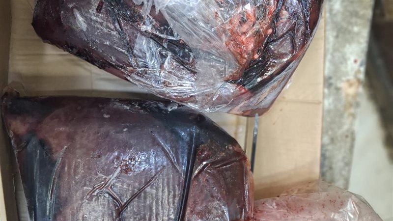 المضبوطات
