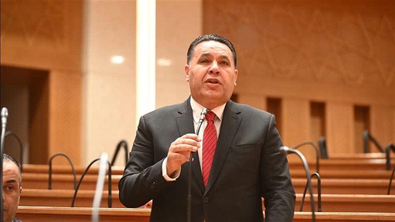 النائب عماد الغنيمي