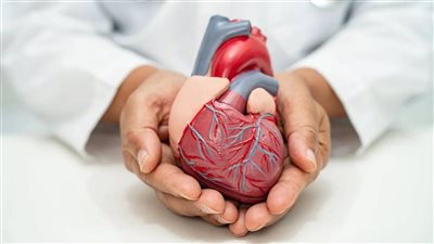 لأول مرة بجنوب سيناء.. «الرعاية الصحية» تنهي معاناة مرضى القلب في 24 ساعة فقط