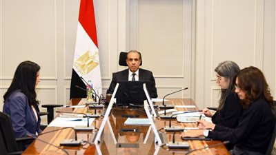وزير الخارجية يشيد بدور الصندوق العربي في دعم التنمية المستدامة