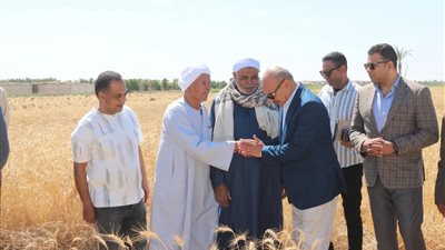 محافظ السويس يشهد احتفالية حصاد القمح ويؤكد الدعم الكامل للمزارعين
