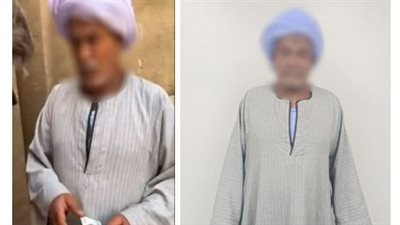فيديو يفضح حارس آثار يتقاضى أموالًا داخل الكرنك والسائح يوثق