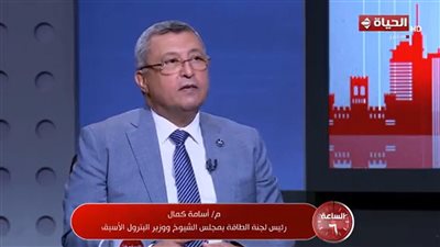 أسامة كمال: الاستثمار هو «الضلع الأساسي» للاقتصاد.. وقطاع البترول حل سحري