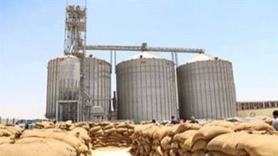 رسمياً..  وزارة التموين: تحديد أسعار شراء القمح المحلي حسب درجات النظافة