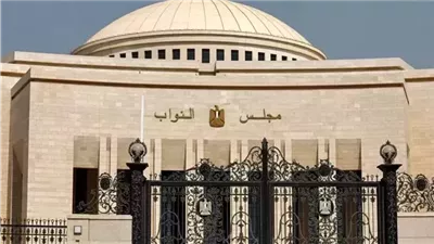 برلماني: التوجيهات الرئاسية بشأن تعزيز الاستثمار في إفريقيا تعيد تشكيل النفوذ 