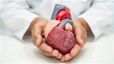 من 3 ملايين لـ482 جنيها|التأمين الصحي ينقذ شابا بعملية قلب معقدة في جنوب سيناء