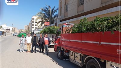 محافظ الفيوم يتابع استلام دفعة جديدة من الأشجار بالمدارس ومراكز الشباب