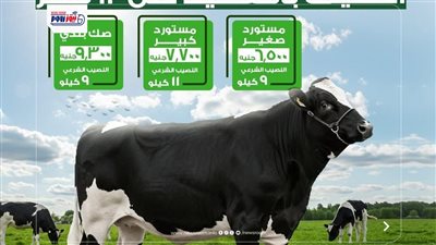 الأورمان تطلق خدمة التقسيط لصكوك الأضاحى 2026 لتوزيع كميات كبيرة من اللحوم 