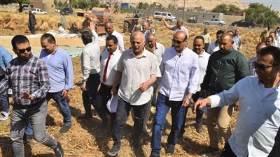محافظ أسيوط يتفقد حصاد القمح.. زراعة 205 ألف فدان وتوريد 67 ألفًا و341 طنا