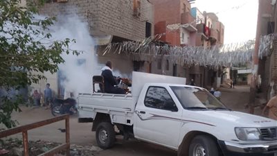 بنى سويف| إزالة حالات تعدٍّ وتعقيم لمناطق انتشار الناموس والبعوض بالقرى