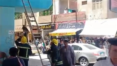 بلاغ من فتاة ينقذ قطة أعلى كوبري نجع حمادي.. تحرك عاجل للأمن والحماية المدنية