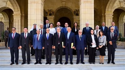 وزير الخارجية أمام الشيوخ: مصر تتحرك لوقف التصعيد في المنطقة ودعم الاستقرار