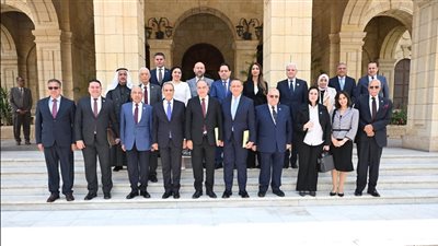بحضور عبدالعاطي.‏. الشؤون الخارجية بالشيوخ تناقش الأوضاع الإقليمية والدولية