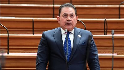 فرج فتحي: اتصال السيسي وبن زايد يجسد دعم مصر الثابت والداعم لدولة الإمارات