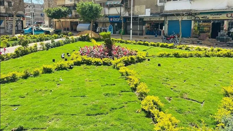 مسطحات خضراء ببورسعيد