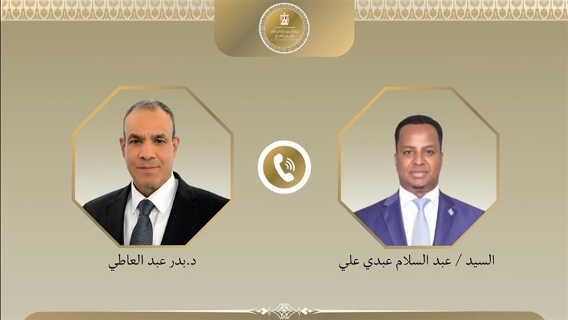 وزيرا خارجية مصر