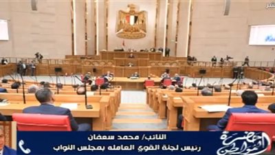 «التأمينات تتحرك نحو إصلاح شامل».. محمد سعفان يكشف كواليس التحول الجديد