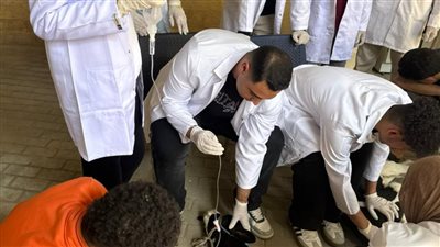 خدمات بيطرية متكاملة وتدريب طلابي داخل مستشفى المنوفية الأهلية التعليمي