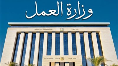 تنفيذًا لتوجيهات الوزير حسن رداد.. نشاط مكثف لـ 17 مديرية عمل
