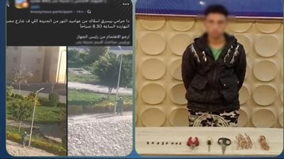 الكاميرا فضحته.. ضبط عاطل لاتهامه أسلاك كهرباء من أعمدة إنارة بالقاهرة
